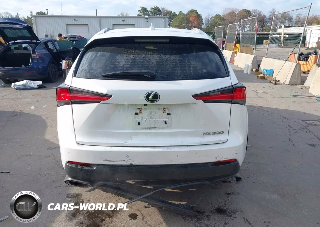 2019 Lexus Nx 300 VIN:JTJBARBZ0K2205120 - 6