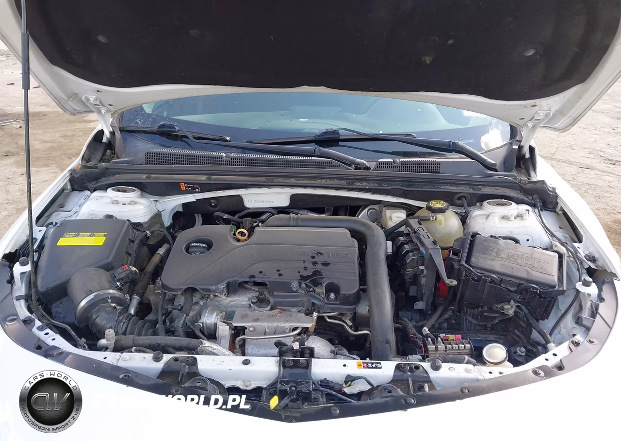 2019 Chevrolet Malibu 1Fl VIN:1G1ZC5ST3KF120421 - 10