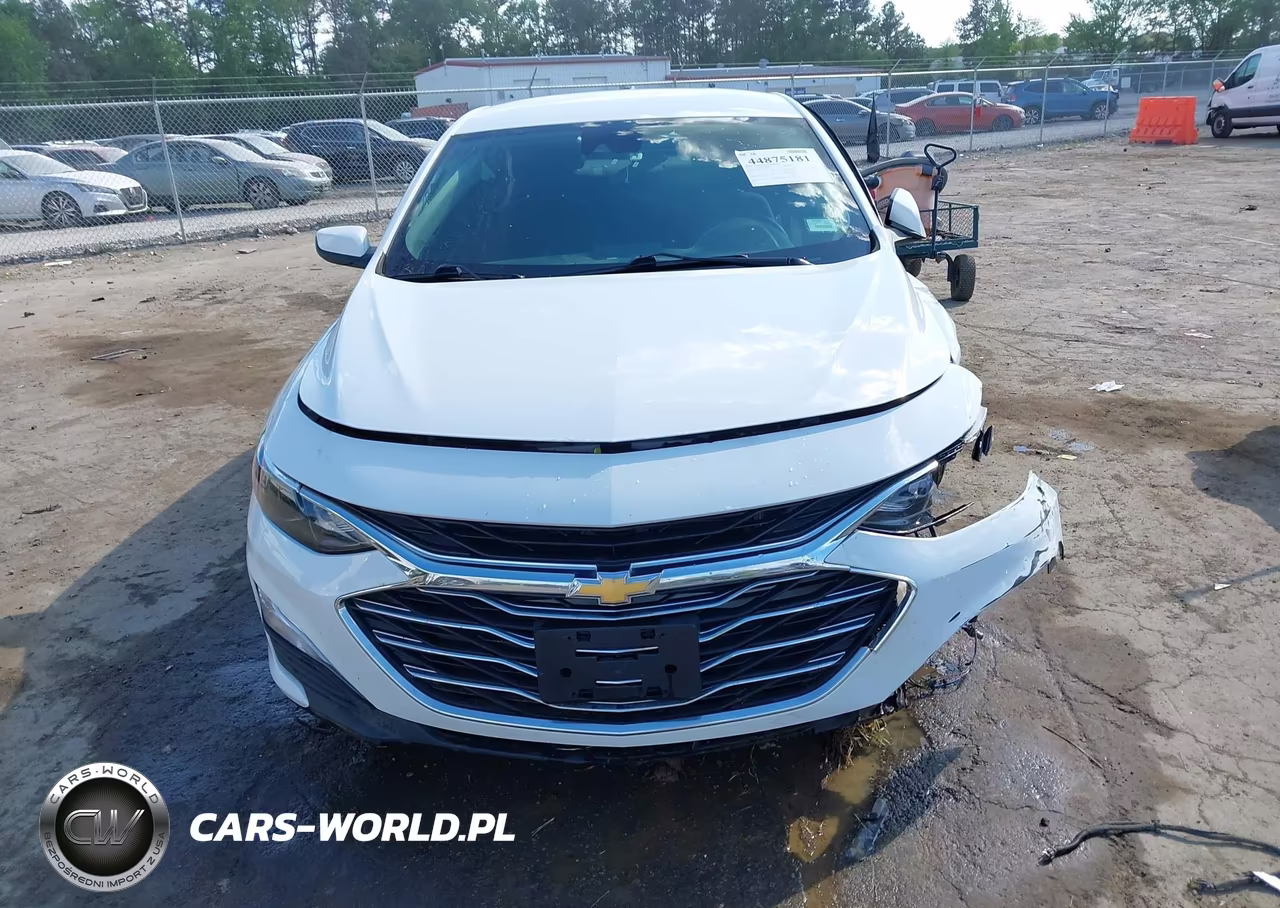 2019 Chevrolet Malibu 1Fl VIN:1G1ZC5ST3KF120421 - 11