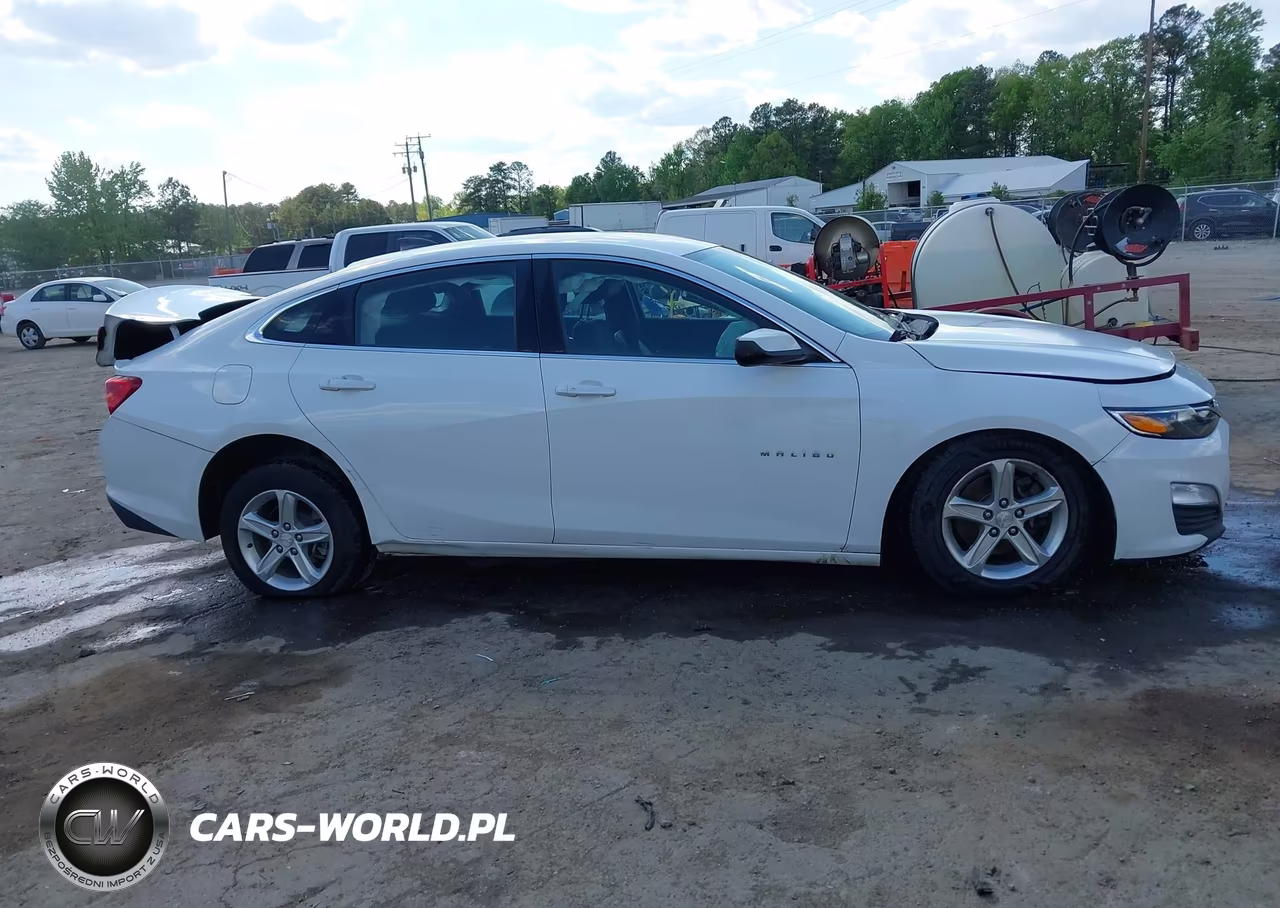 2019 Chevrolet Malibu 1Fl VIN:1G1ZC5ST3KF120421 - 12