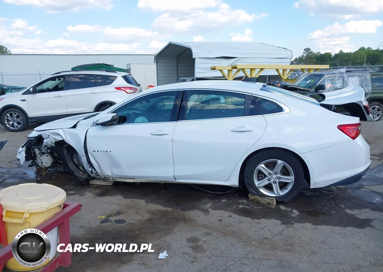 2019 Chevrolet Malibu 1Fl VIN:1G1ZC5ST3KF120421 - 13