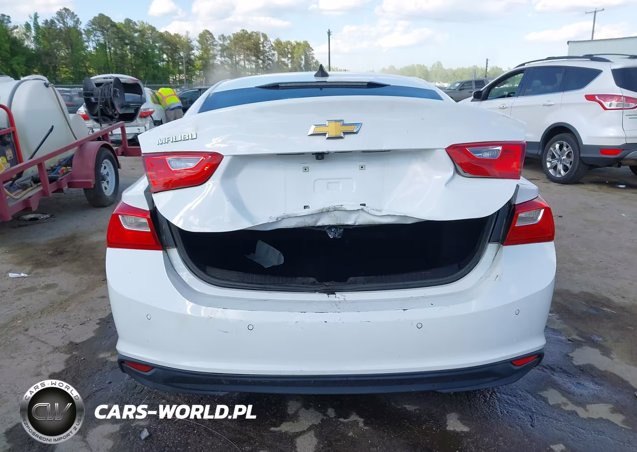 2019 Chevrolet Malibu 1Fl VIN:1G1ZC5ST3KF120421 - 15