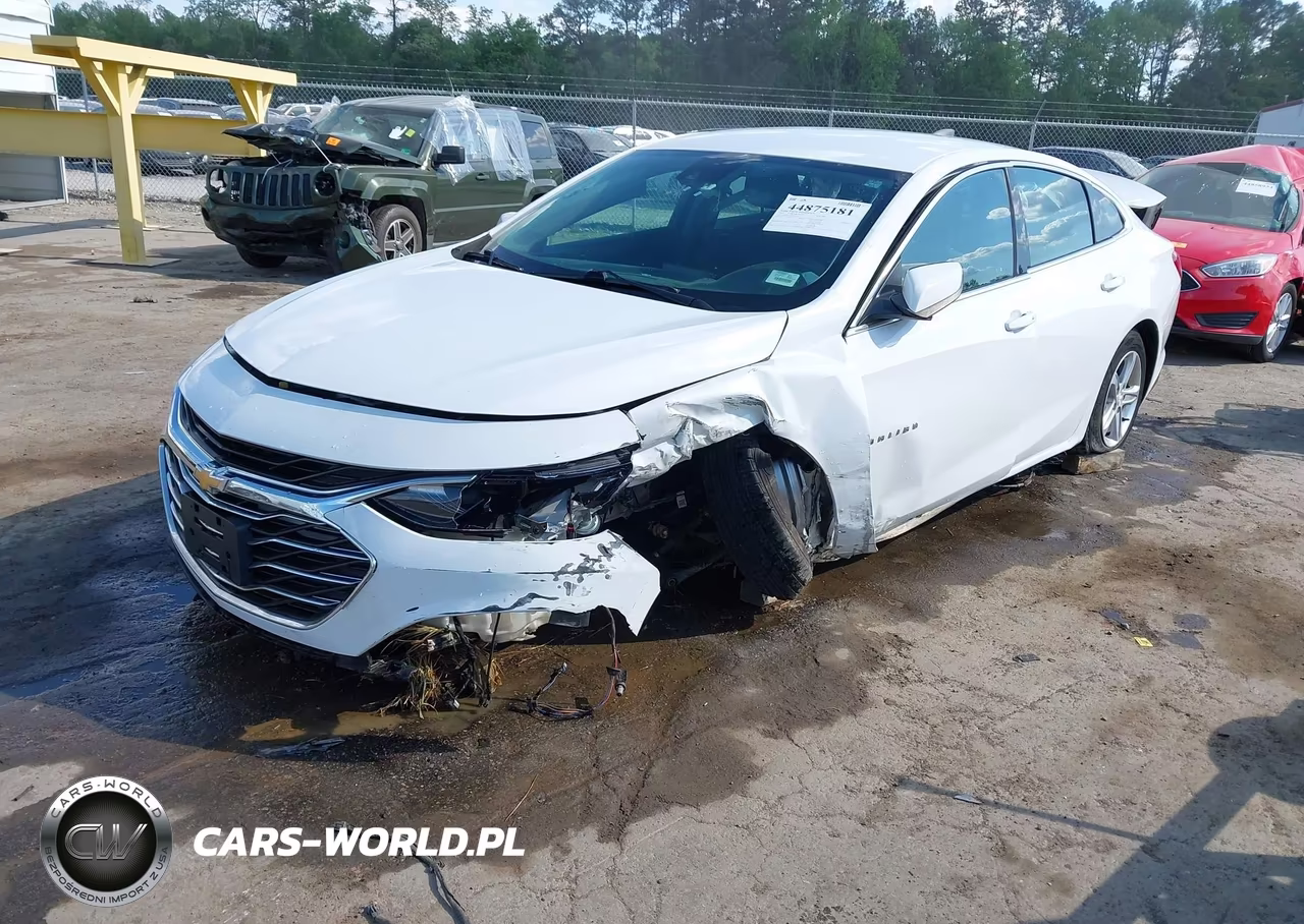 2019 Chevrolet Malibu 1Fl VIN:1G1ZC5ST3KF120421 - 2