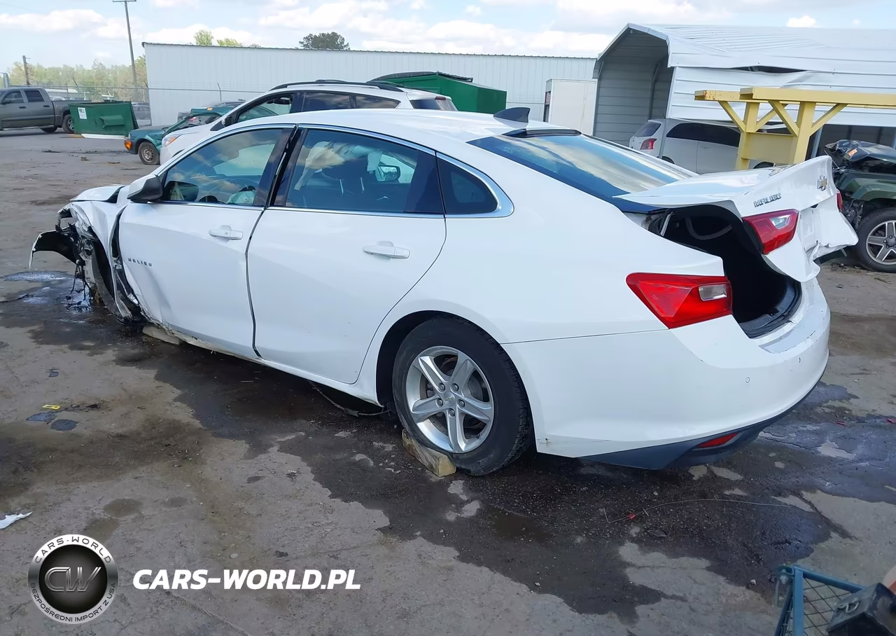2019 Chevrolet Malibu 1Fl VIN:1G1ZC5ST3KF120421 - 3