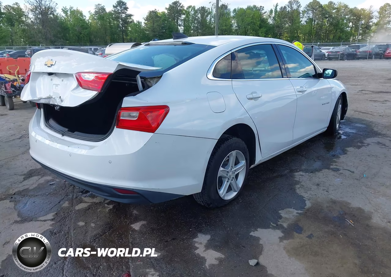 2019 Chevrolet Malibu 1Fl VIN:1G1ZC5ST3KF120421 - 4