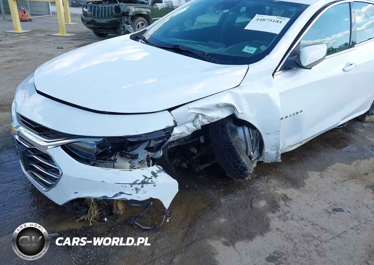 2019 Chevrolet Malibu 1Fl VIN:1G1ZC5ST3KF120421 - 6