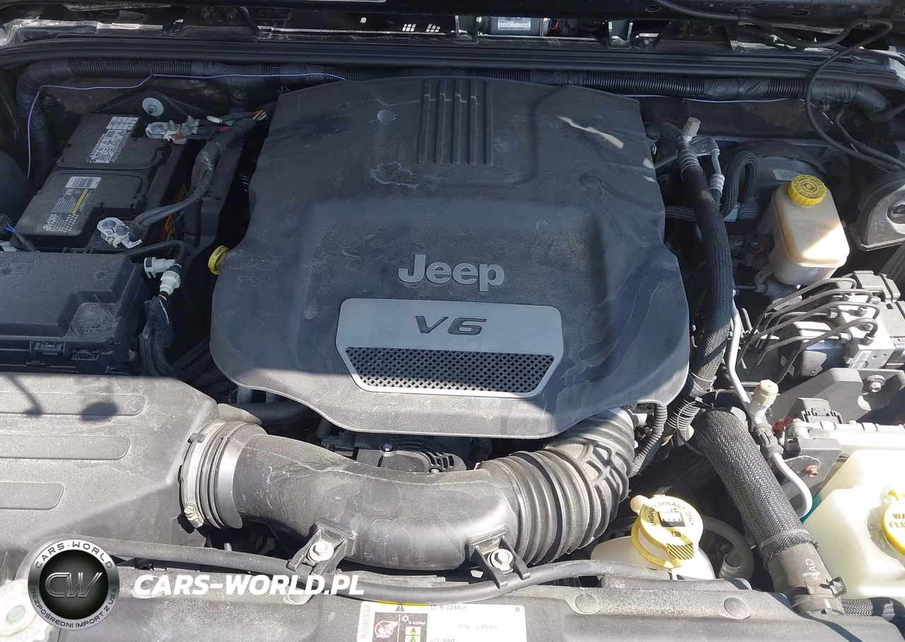 2016 Jeep Wrangler Unlimited 75Th Anniversary VIN:1C4BJWEG5GL251216 - 10