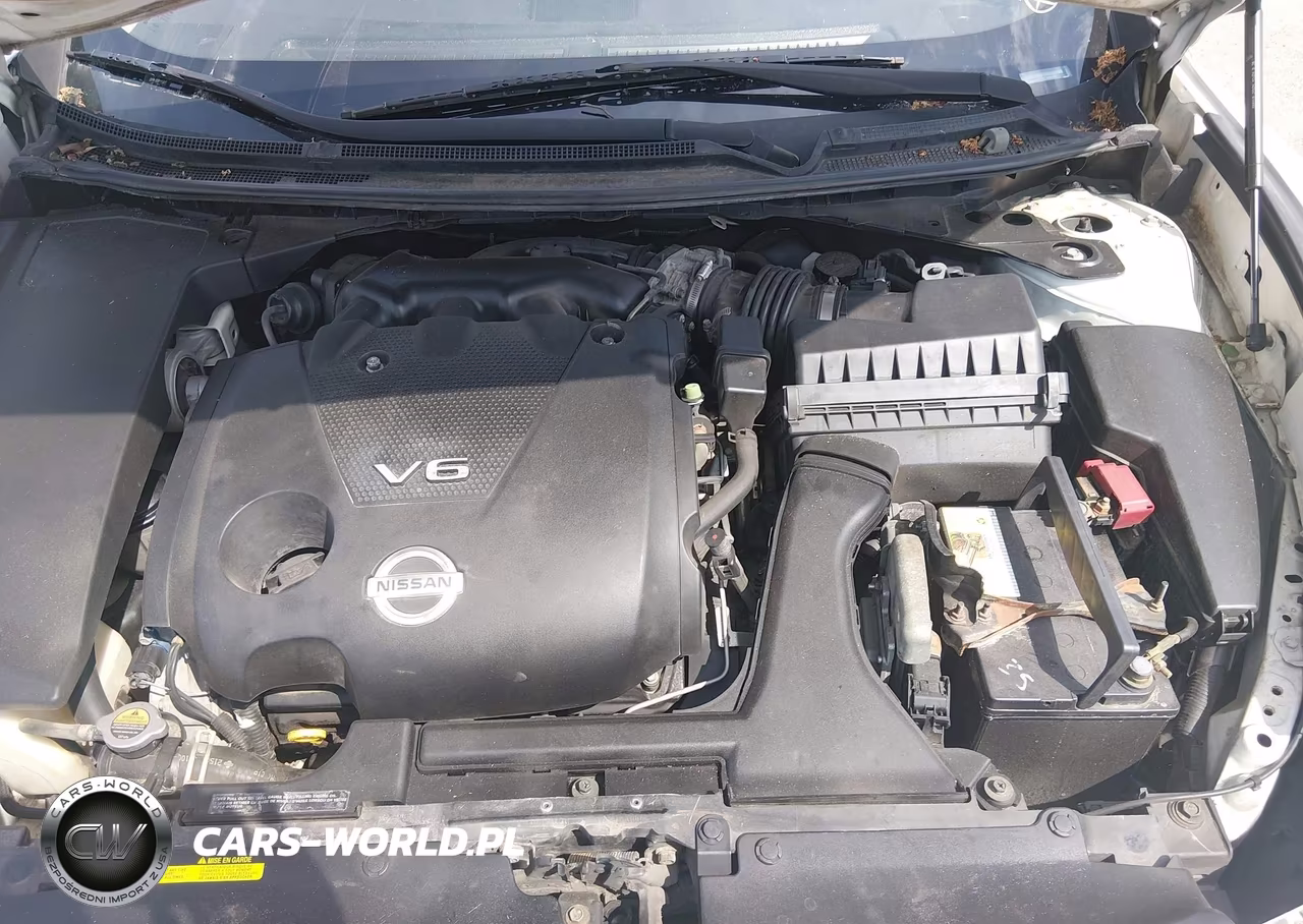 2009 Nissan Maxima 3.5 Sv VIN:1N4AA51E59C848983 - 10