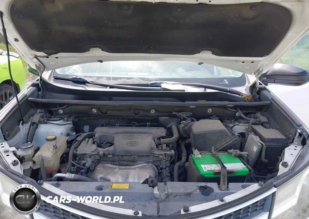 2015 Toyota Rav4 Le VIN:2T3ZFREV7FW194447 - 10