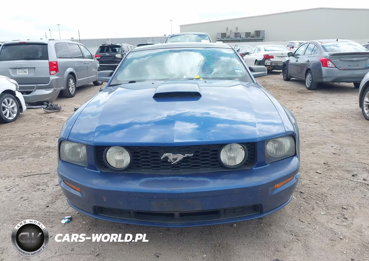 2009 Ford Mustang Gt-Gt Premium VIN:1ZVHT82H695116246 - 13