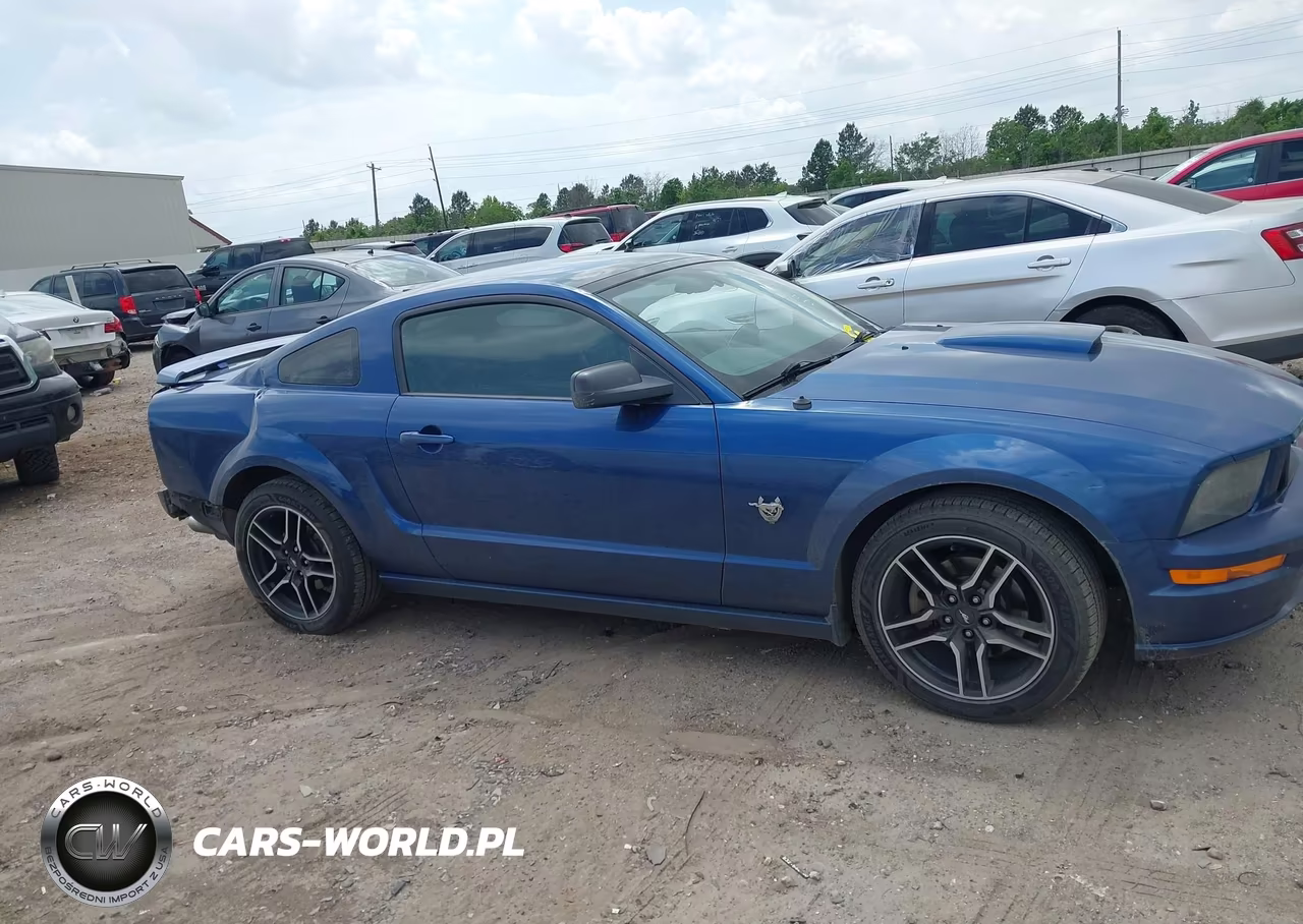2009 Ford Mustang Gt-Gt Premium VIN:1ZVHT82H695116246 - 14