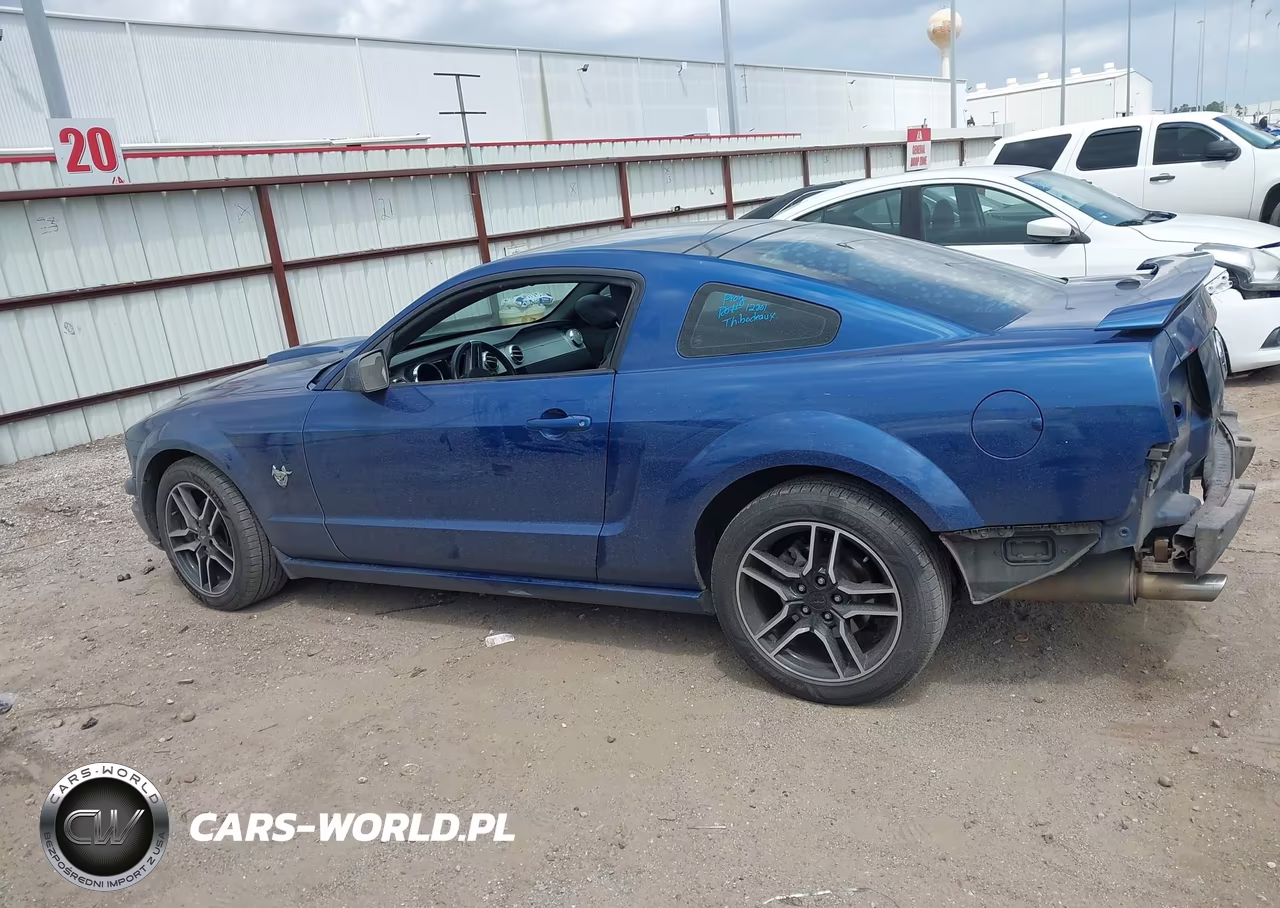 2009 Ford Mustang Gt-Gt Premium VIN:1ZVHT82H695116246 - 15