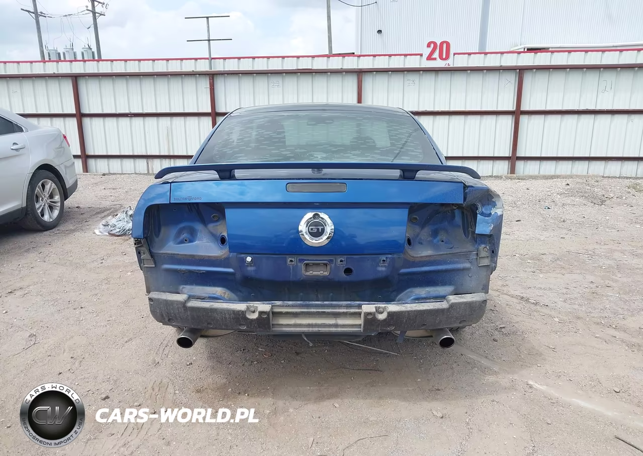 2009 Ford Mustang Gt-Gt Premium VIN:1ZVHT82H695116246 - 17
