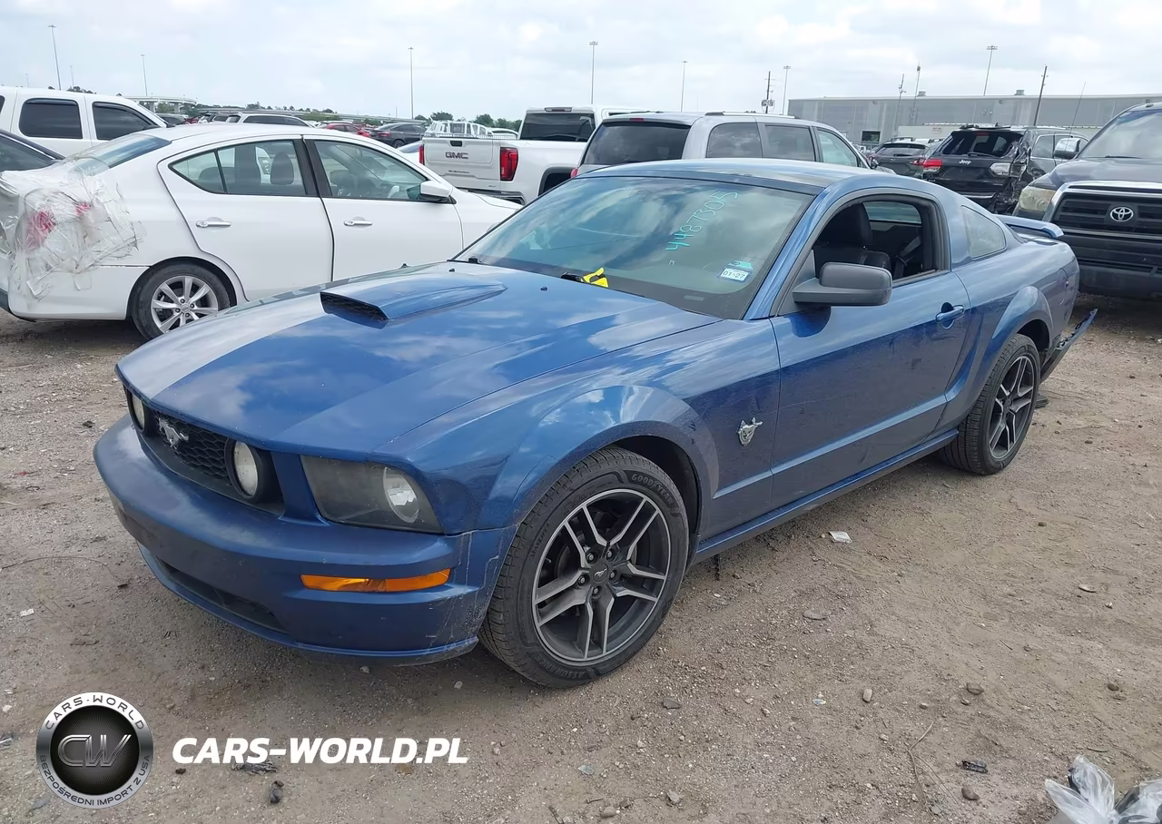 2009 Ford Mustang Gt-Gt Premium VIN:1ZVHT82H695116246 - 2