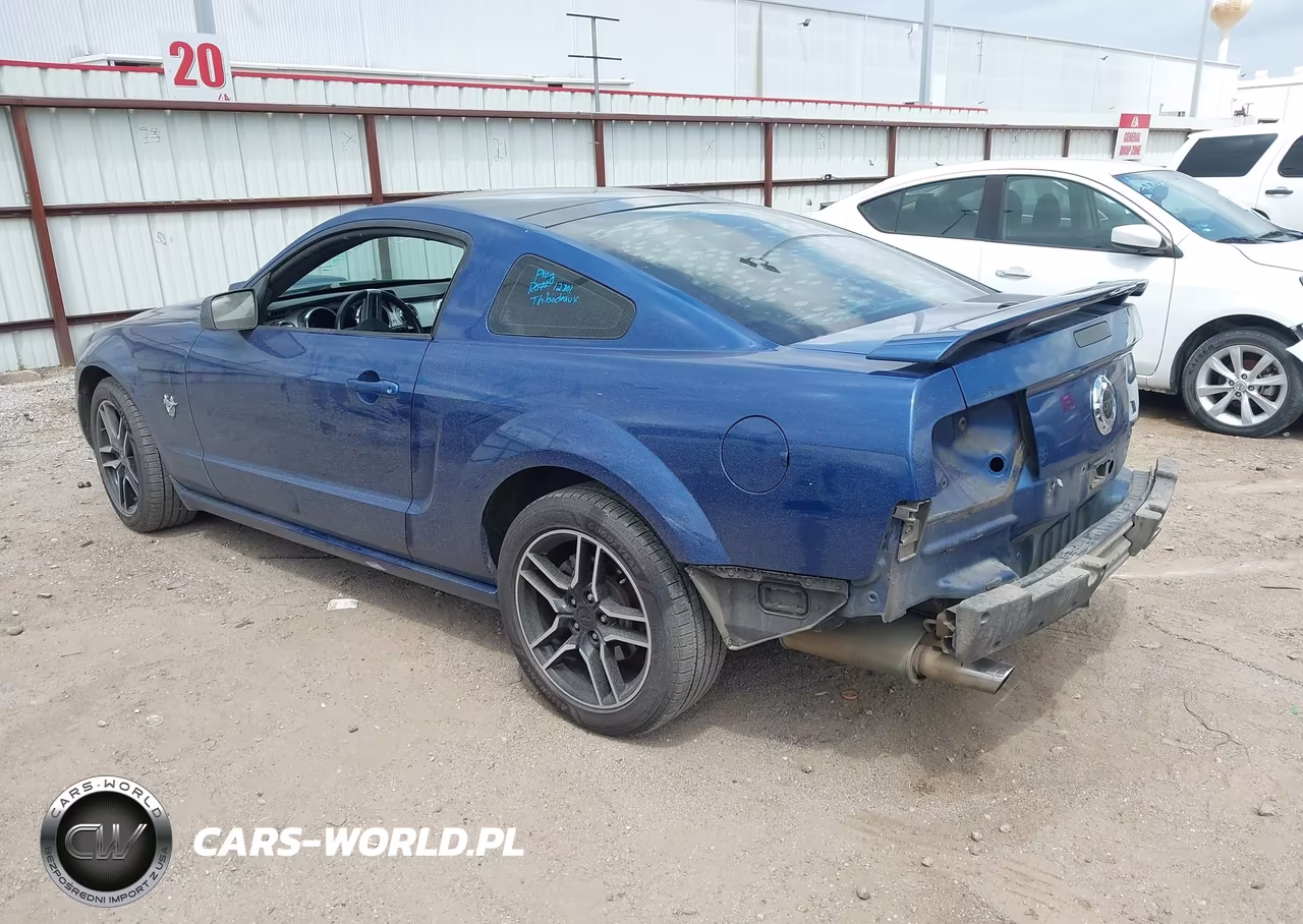 2009 Ford Mustang Gt-Gt Premium VIN:1ZVHT82H695116246 - 3