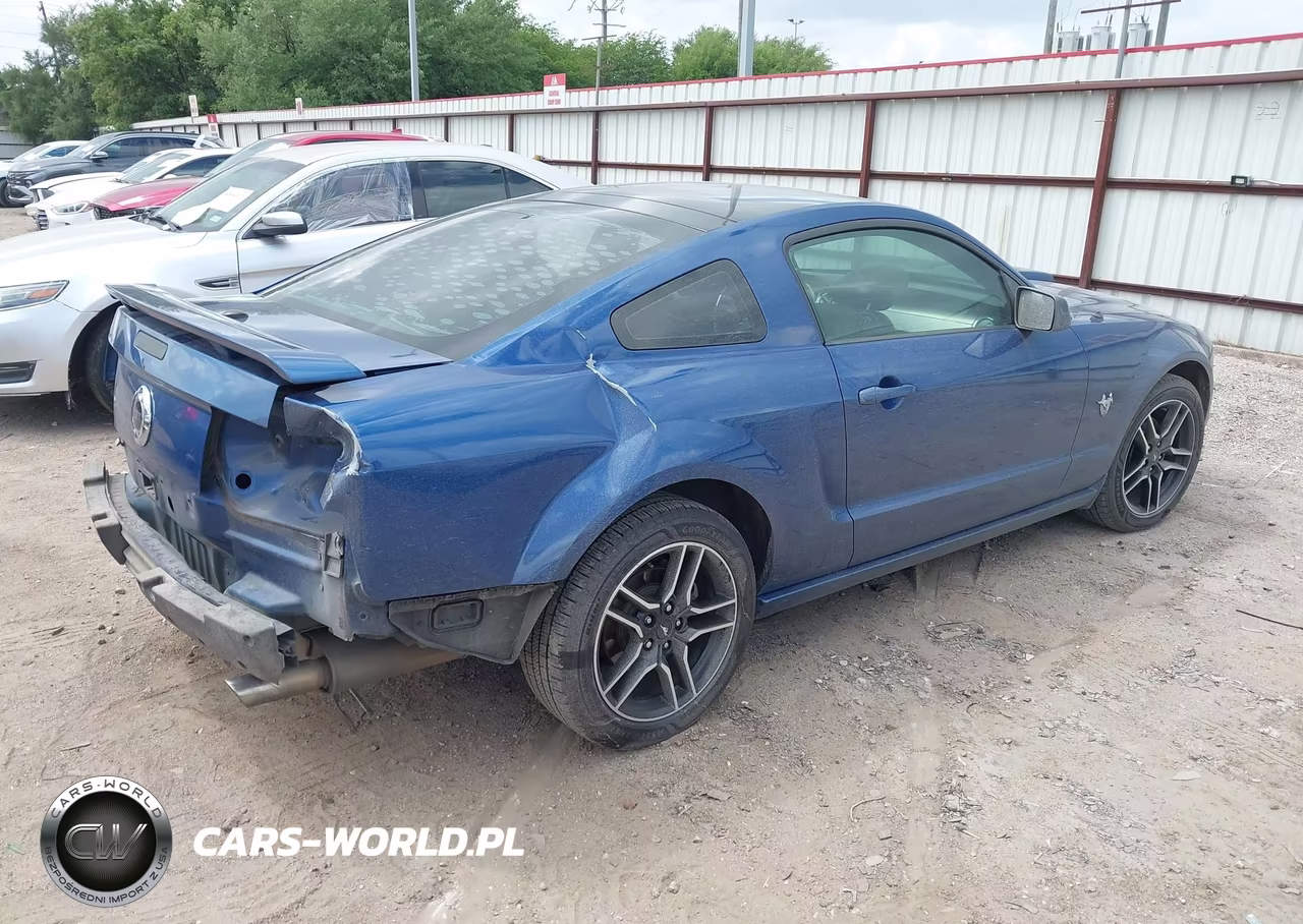2009 Ford Mustang Gt-Gt Premium VIN:1ZVHT82H695116246 - 4