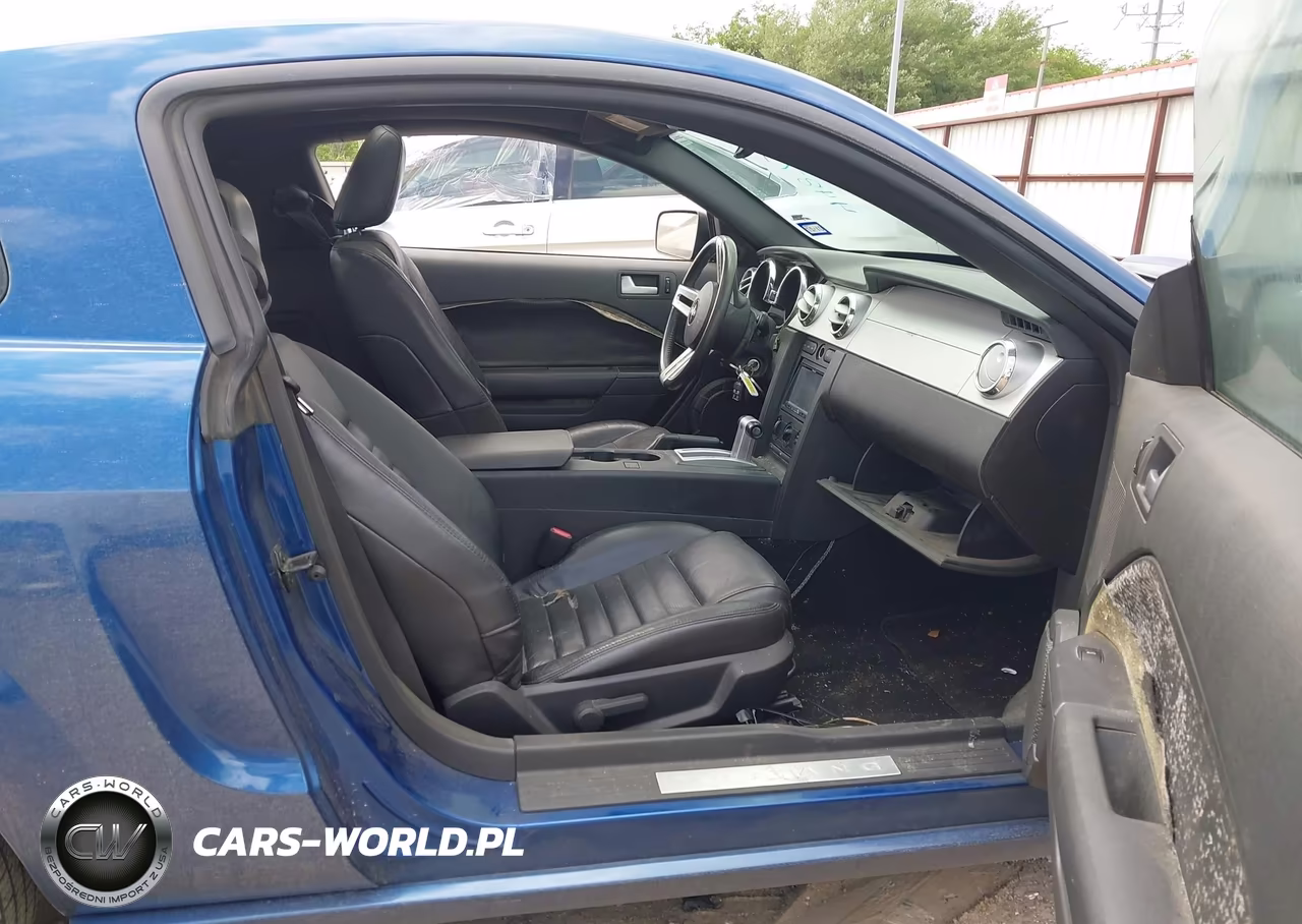 2009 Ford Mustang Gt-Gt Premium VIN:1ZVHT82H695116246 - 5
