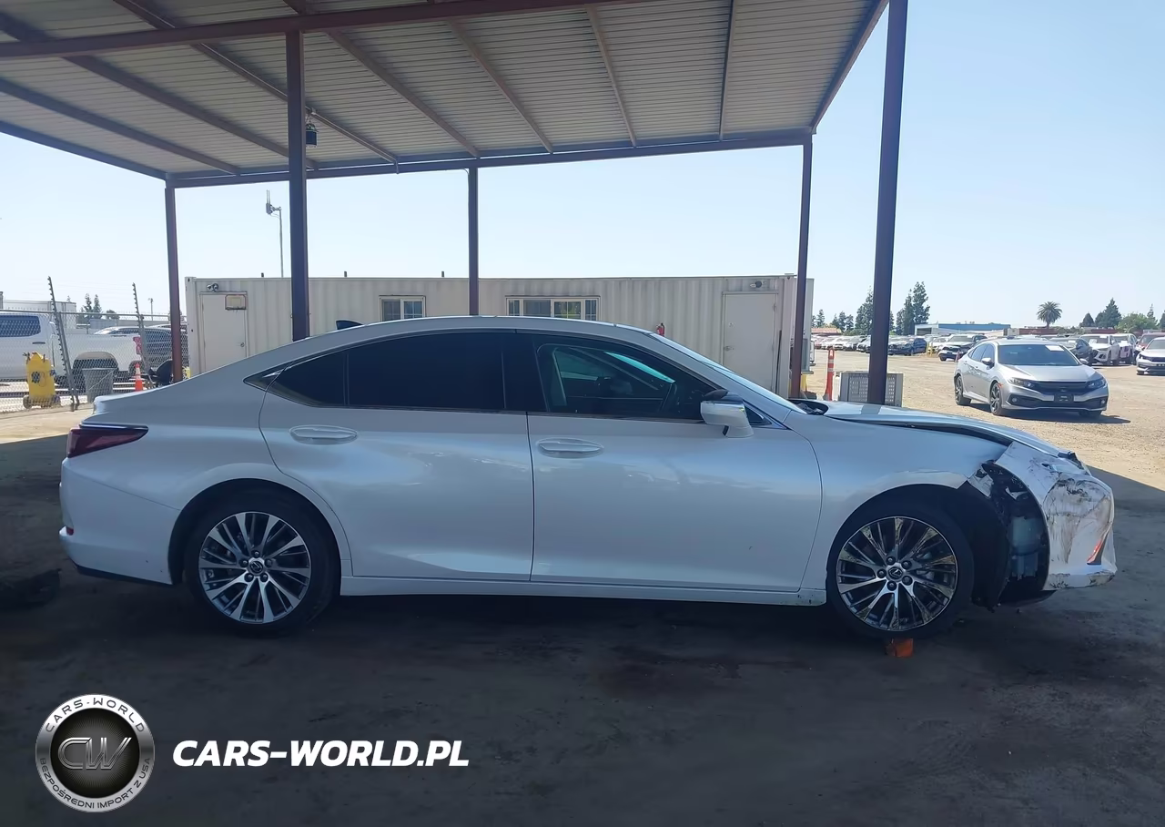 2020 Lexus Es 350 VIN:58ADZ1B10LU061594 - 13