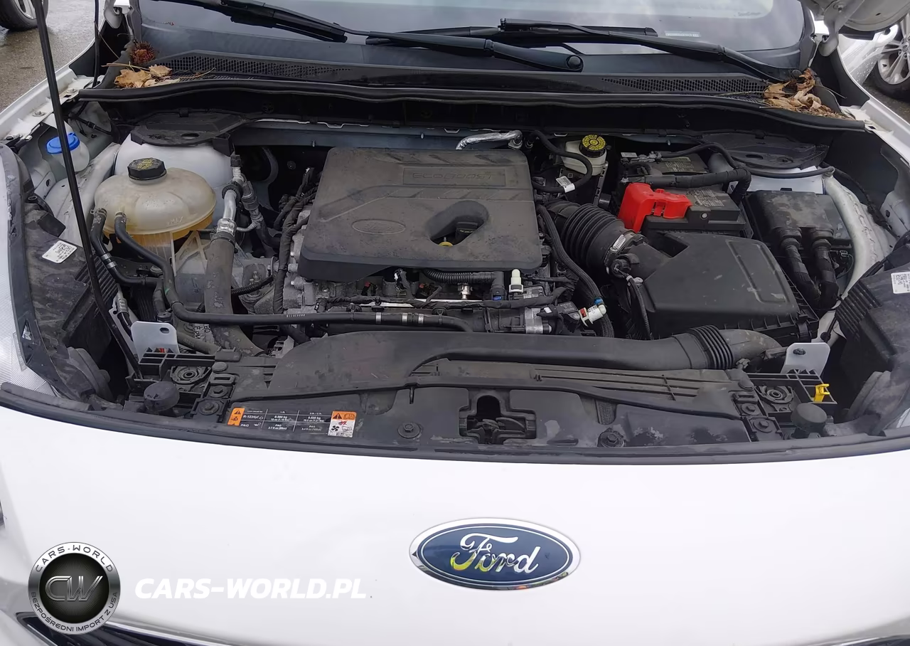 2020 Ford Escape Sel VIN:1FMCU0H6XLUB15370 - 10
