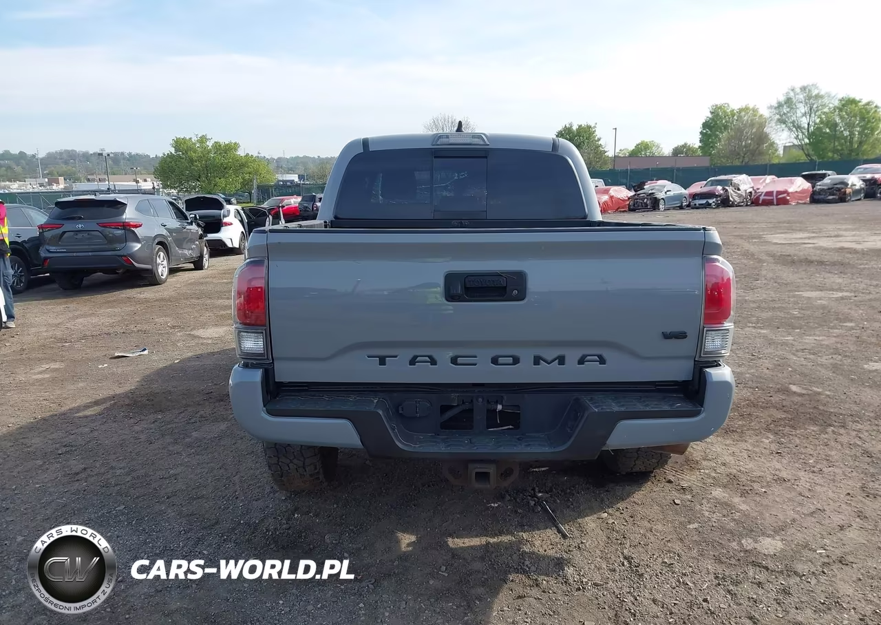 2020 Toyota Tacoma Trd Sport VIN:3TMCZ5AN0LM300391 - 16