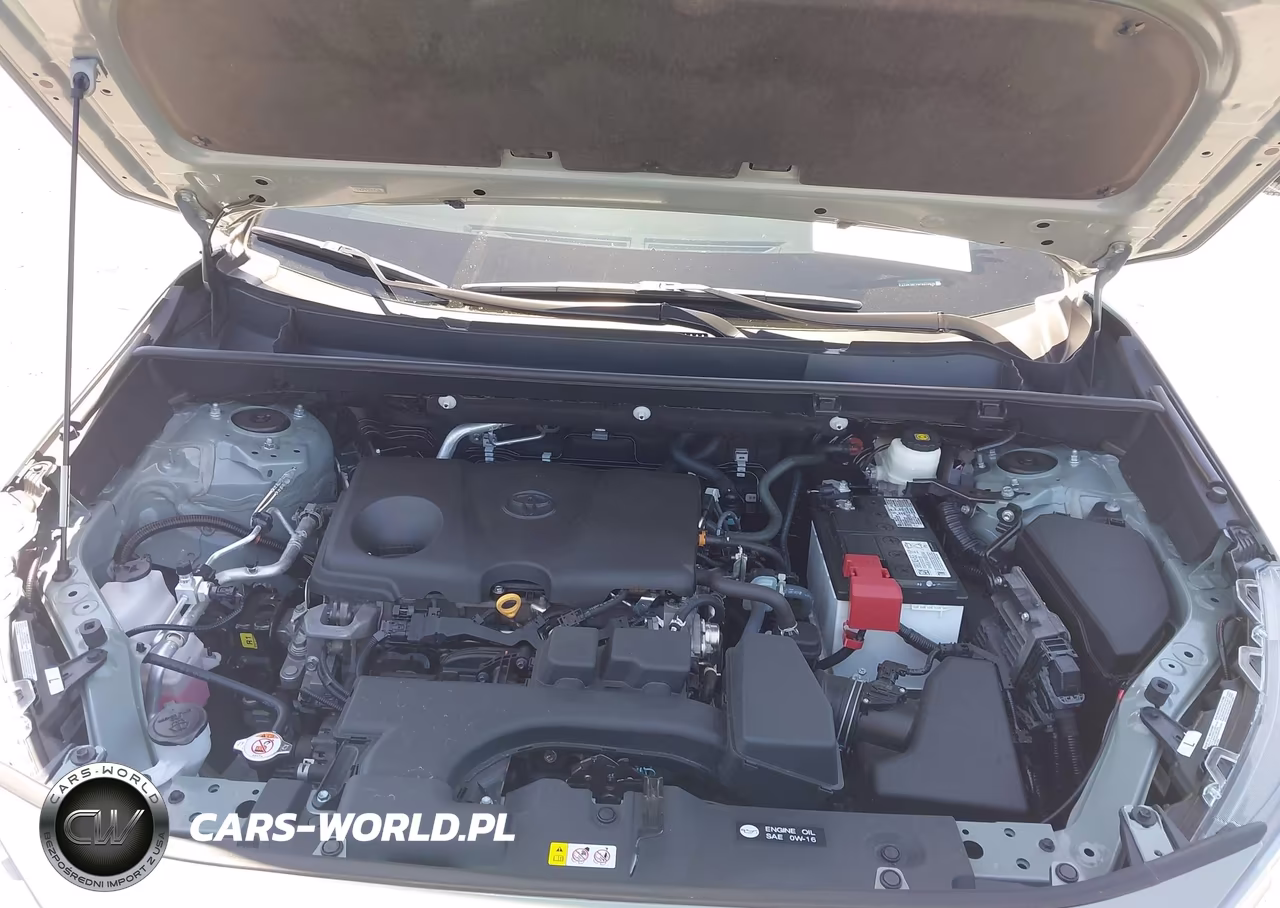 2023 Toyota Rav4 Xle VIN:2T3W1RFVXPW270616 - 10
