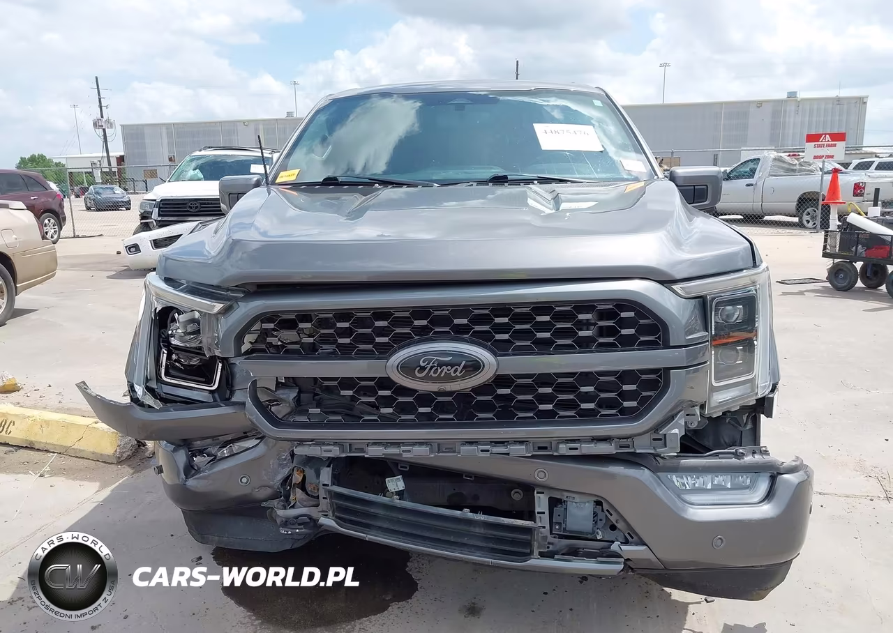 2021 Ford F-150 Platinum VIN:1FTFW1E53MFB25788 - 12