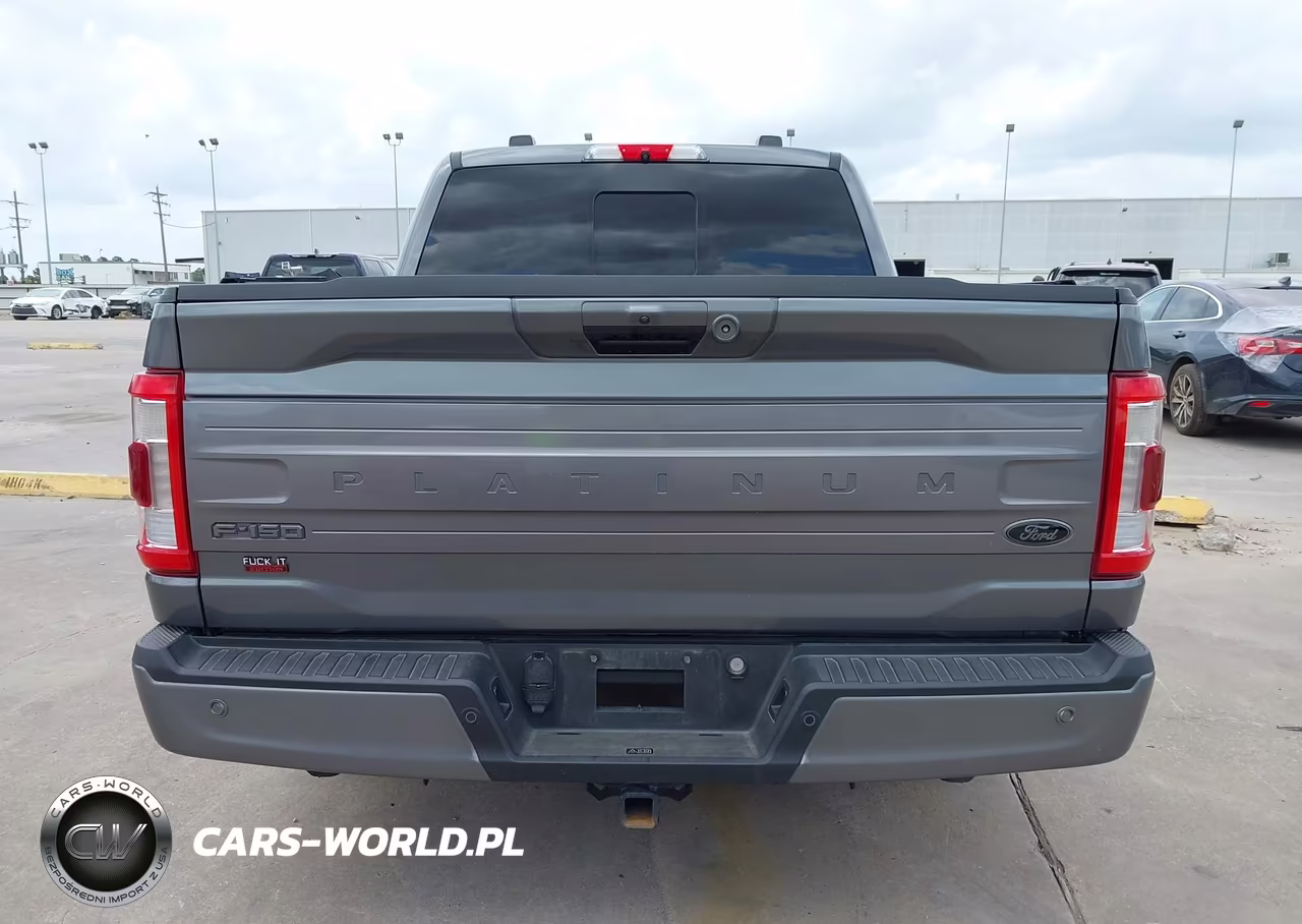 2021 Ford F-150 Platinum VIN:1FTFW1E53MFB25788 - 16