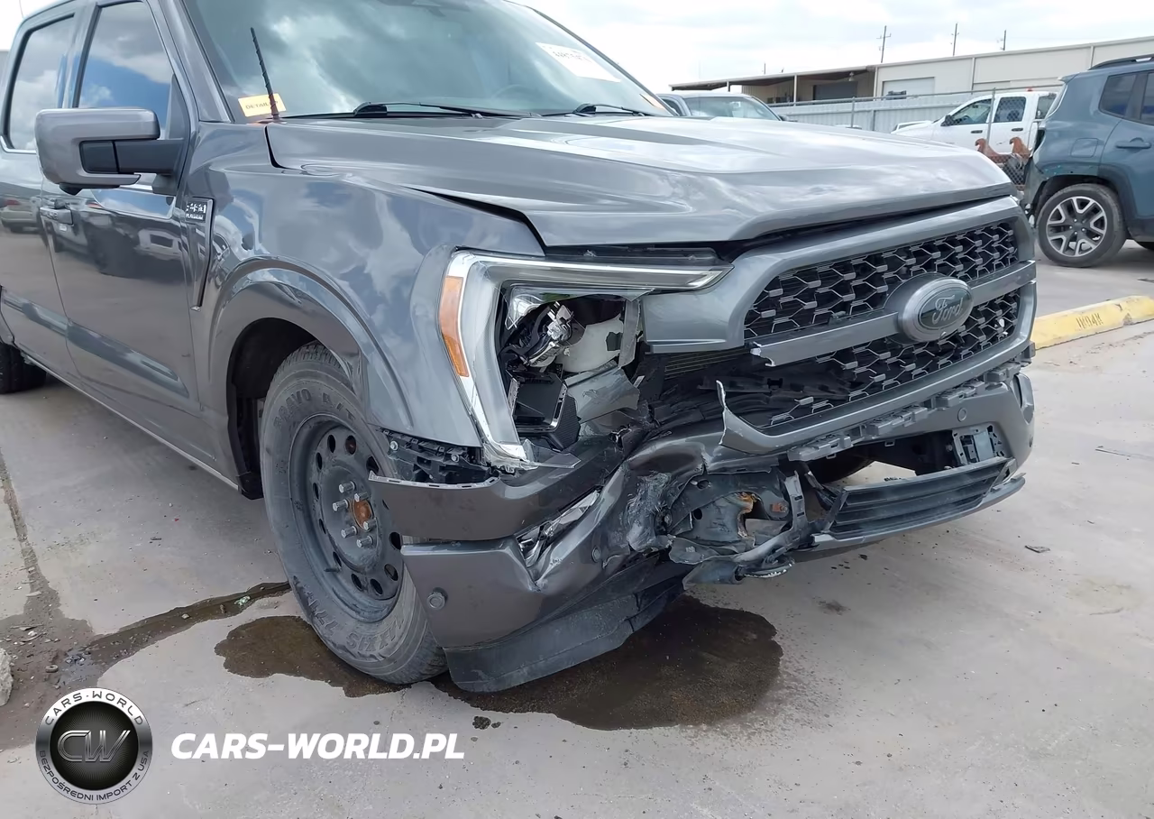 2021 Ford F-150 Platinum VIN:1FTFW1E53MFB25788 - 17