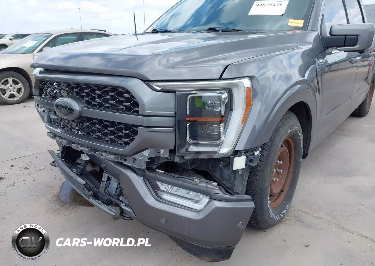 2021 Ford F-150 Platinum VIN:1FTFW1E53MFB25788 - 18