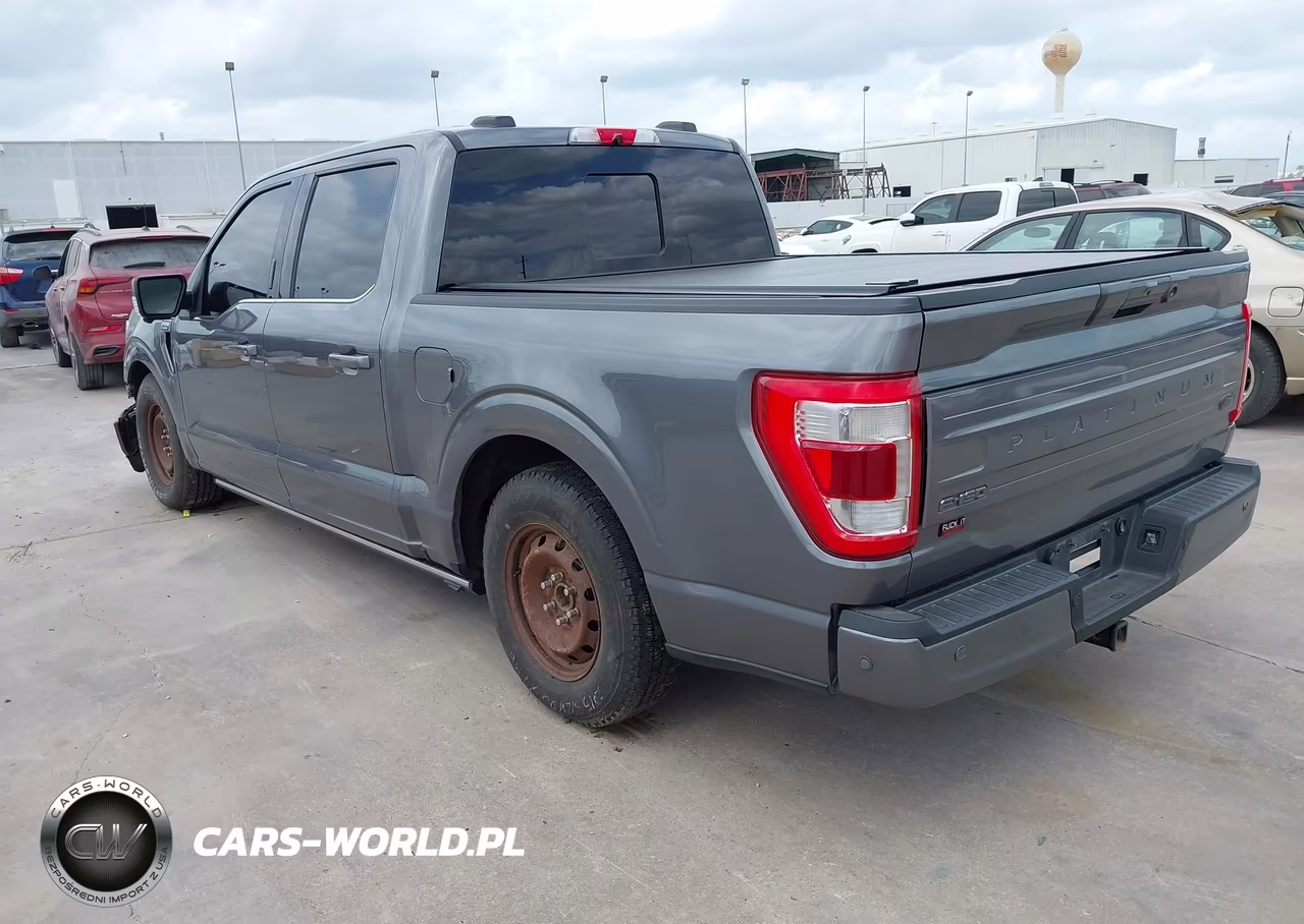2021 Ford F-150 Platinum VIN:1FTFW1E53MFB25788 - 3
