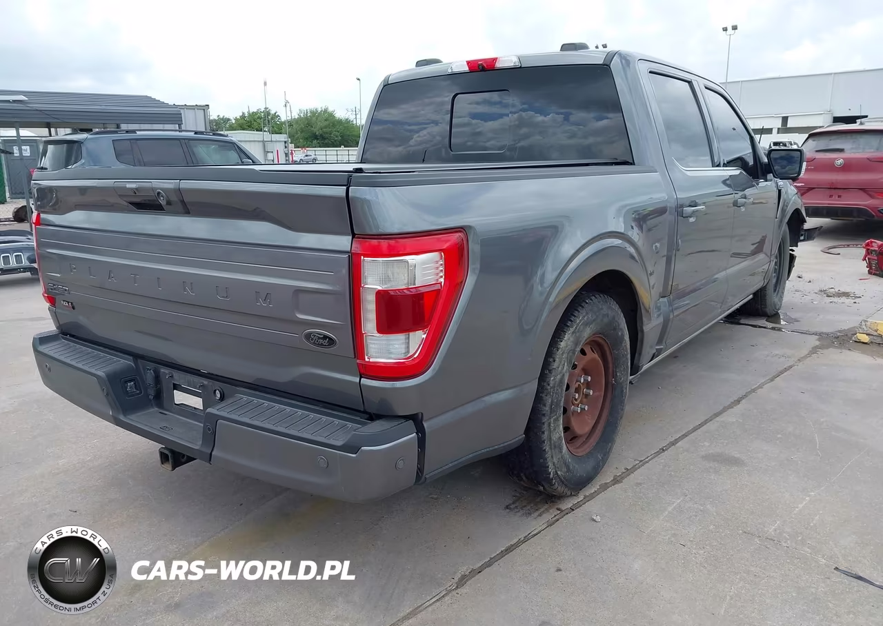 2021 Ford F-150 Platinum VIN:1FTFW1E53MFB25788 - 4
