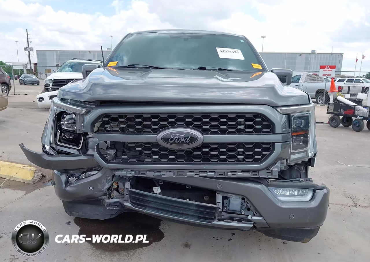 2021 Ford F-150 Platinum VIN:1FTFW1E53MFB25788 - 6