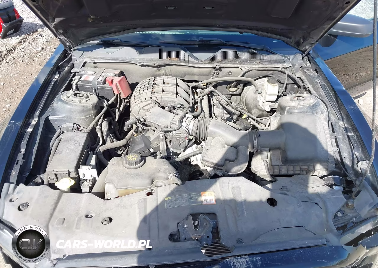2013 Ford Mustang V6 VIN:1ZVBP8AM8D5202546 - 10