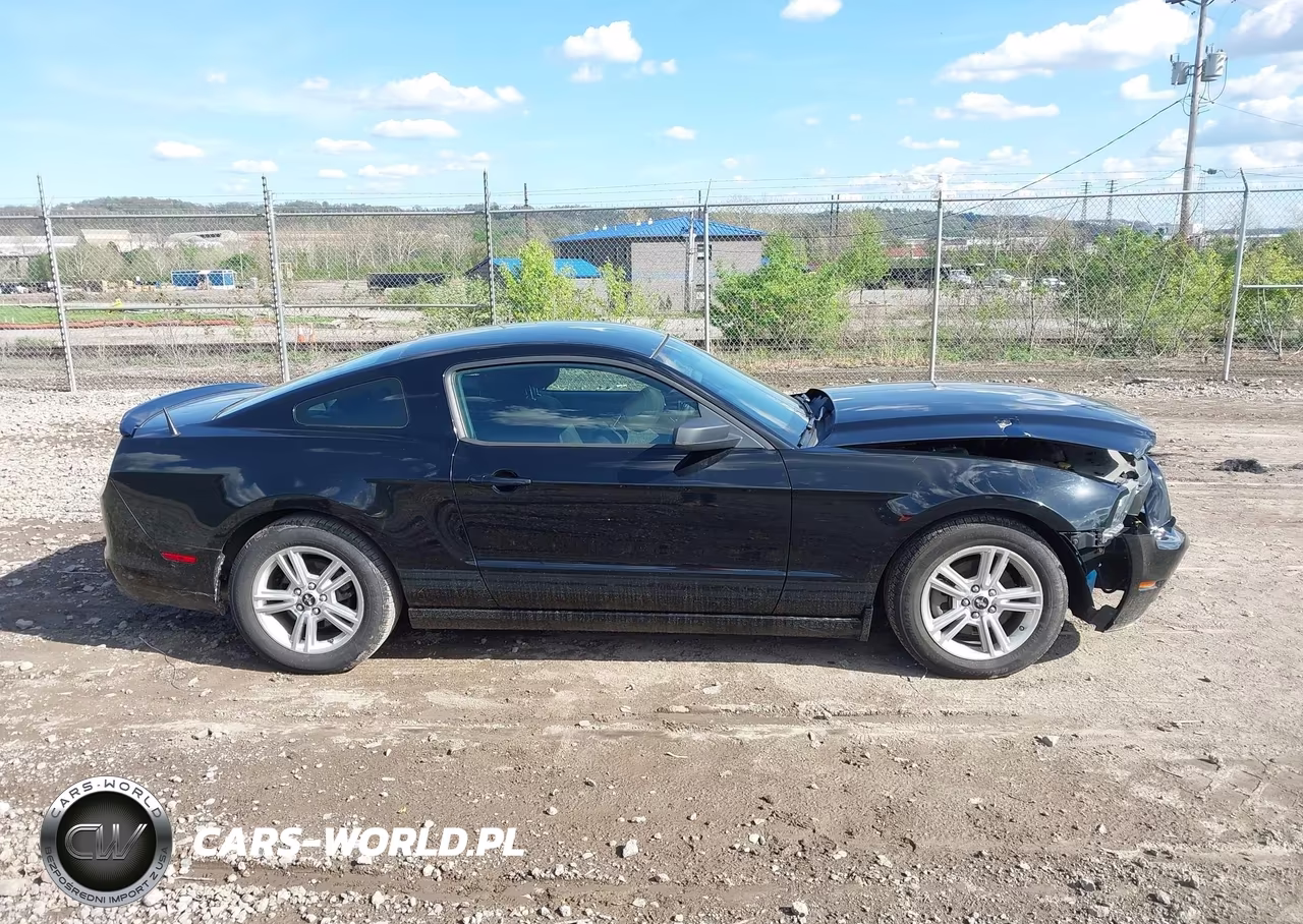 2013 Ford Mustang V6 VIN:1ZVBP8AM8D5202546 - 14