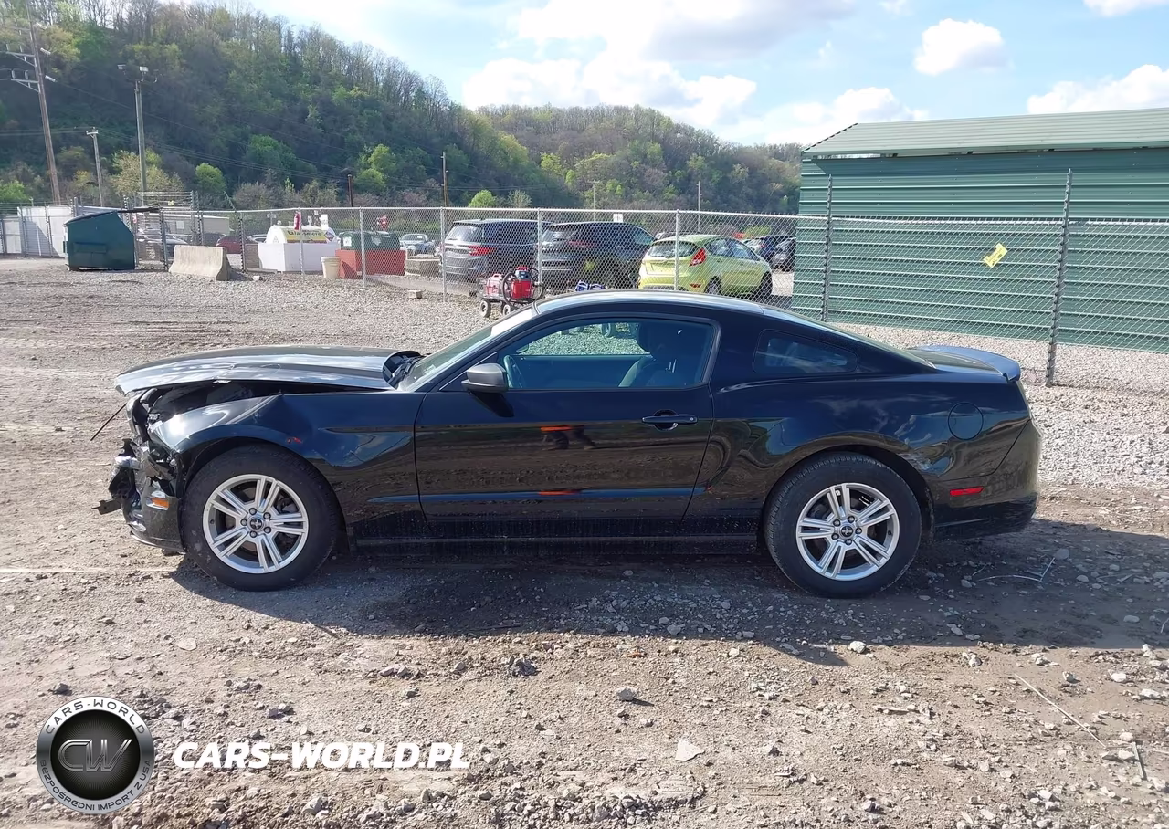 2013 Ford Mustang V6 VIN:1ZVBP8AM8D5202546 - 15