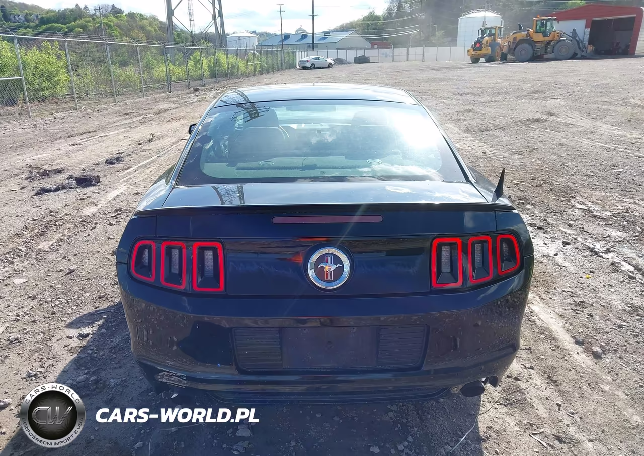 2013 Ford Mustang V6 VIN:1ZVBP8AM8D5202546 - 17
