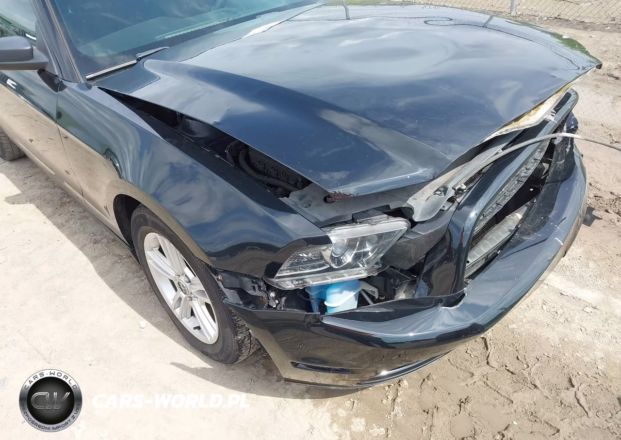 2013 Ford Mustang V6 VIN:1ZVBP8AM8D5202546 - 18
