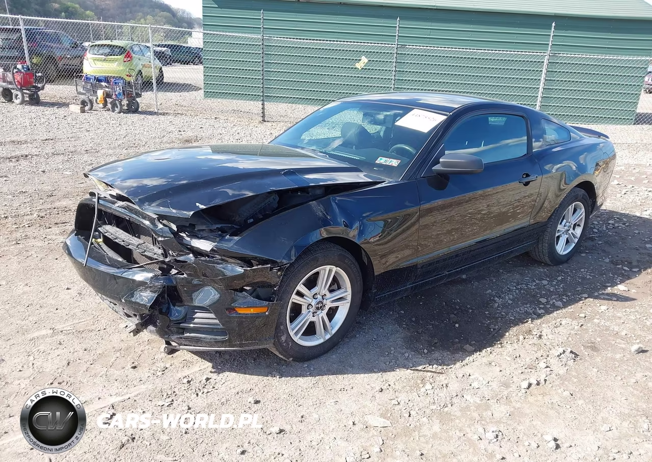 2013 Ford Mustang V6 VIN:1ZVBP8AM8D5202546 - 2