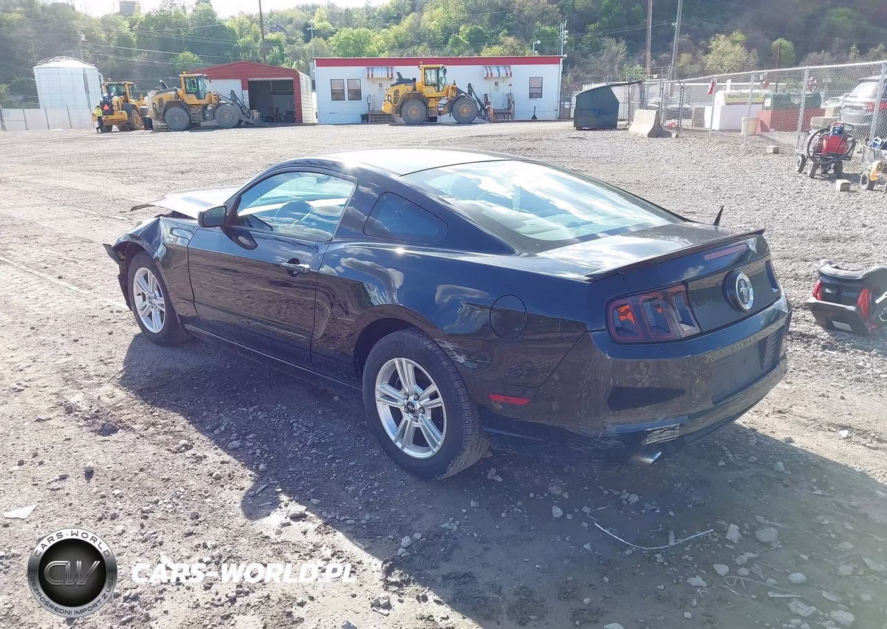 2013 Ford Mustang V6 VIN:1ZVBP8AM8D5202546 - 3