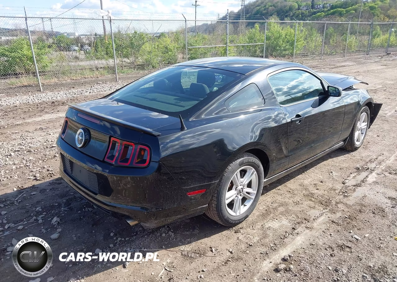2013 Ford Mustang V6 VIN:1ZVBP8AM8D5202546 - 4