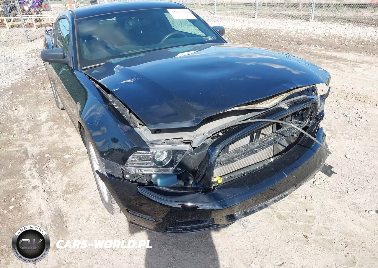 2013 Ford Mustang V6 VIN:1ZVBP8AM8D5202546 - 6