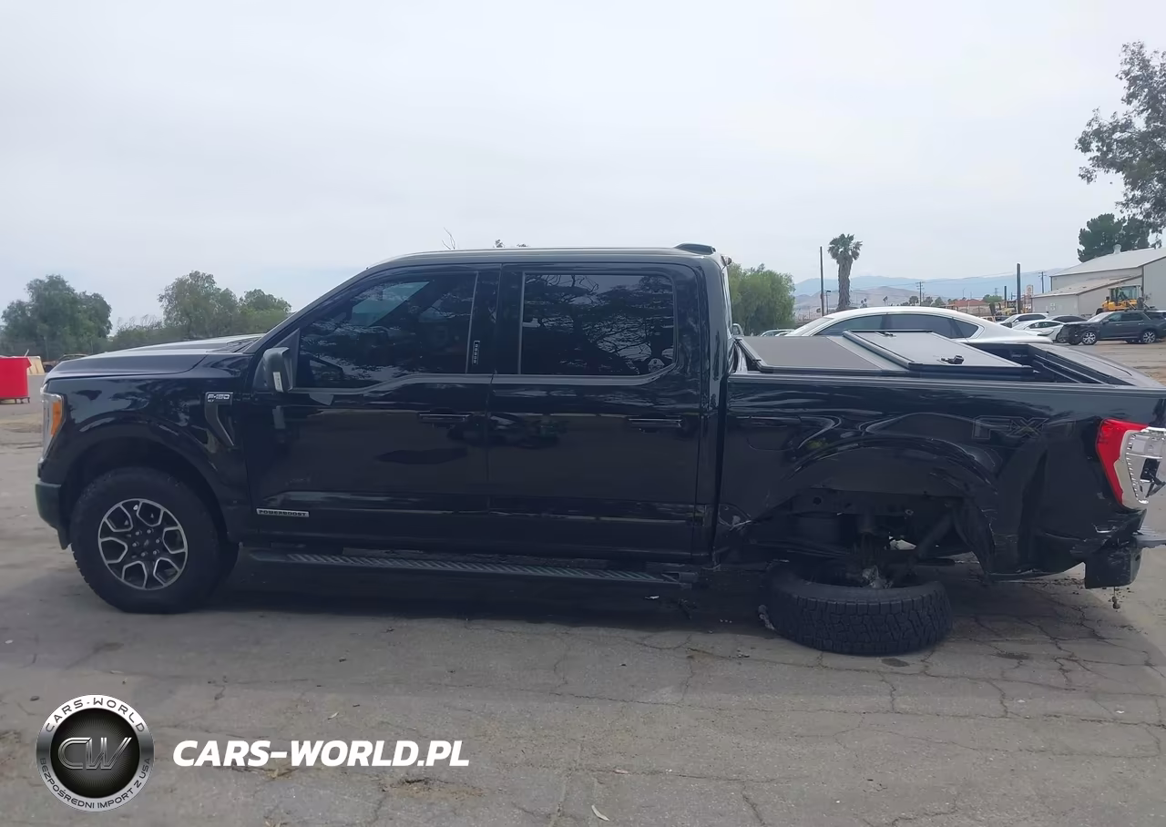 2021 Ford F-150 Xlt VIN:1FTFW1ED3MFC05941 - 14