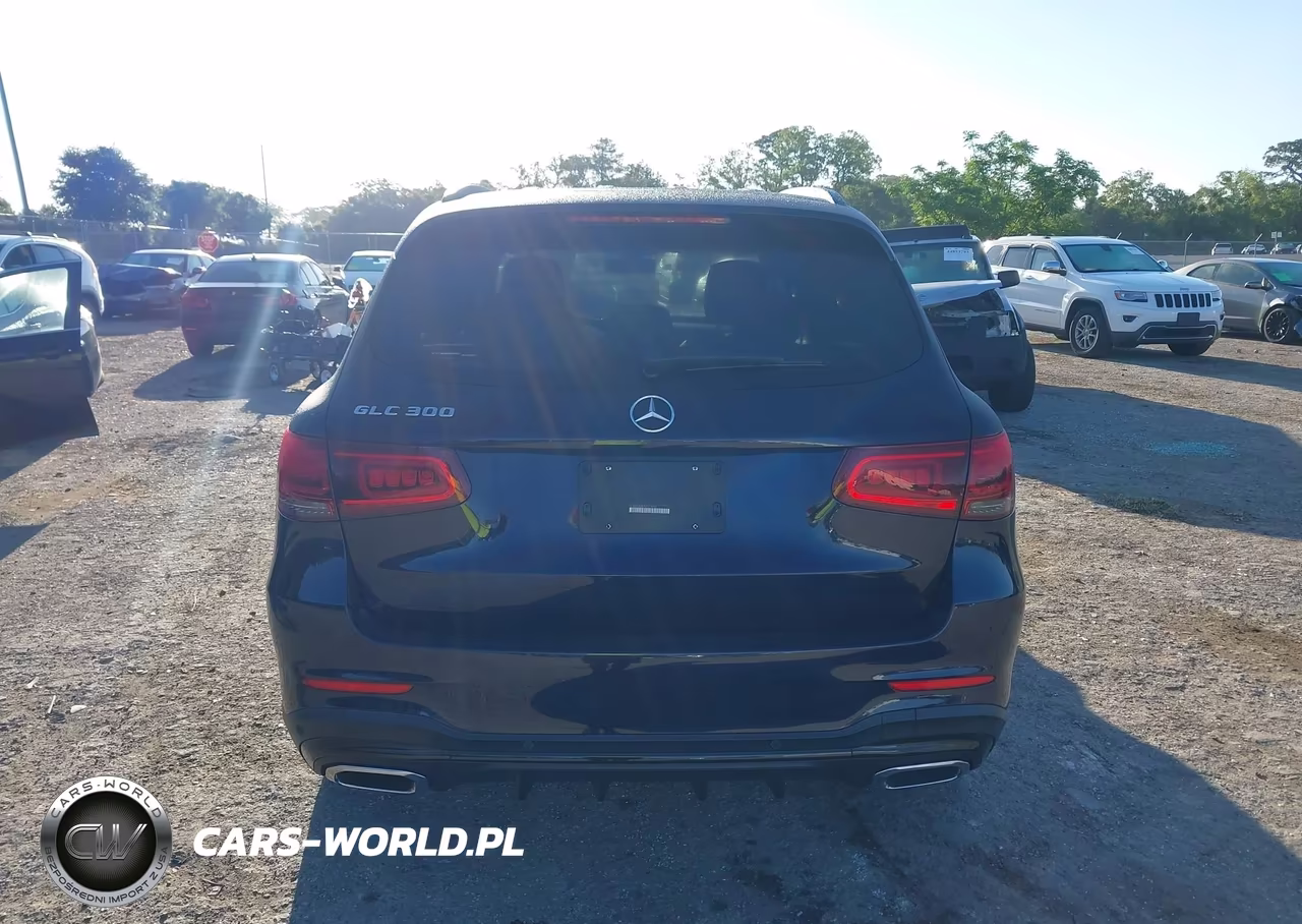 2020 Mercedes-Benz Glc 300 VIN:W1N0G8DB7LF811200 - 16