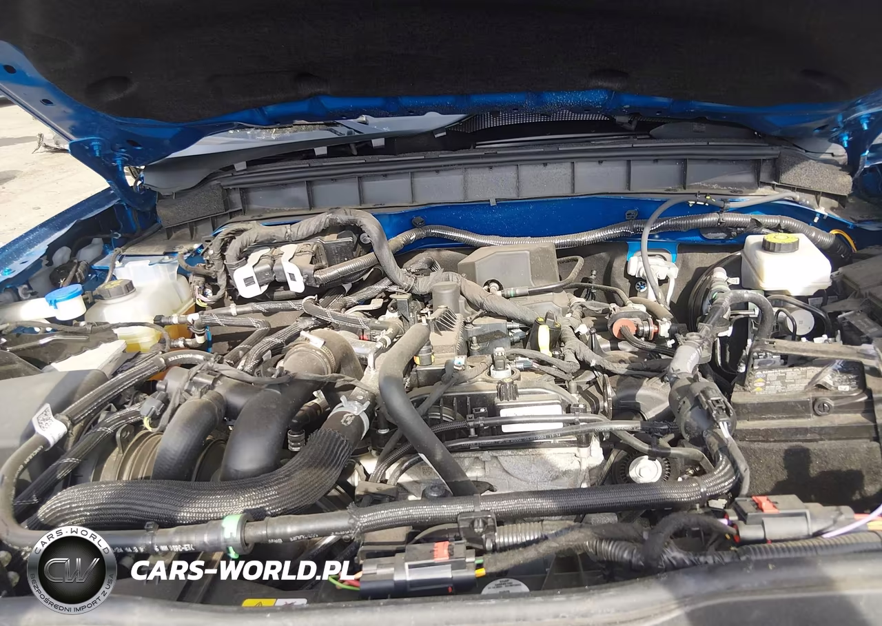 2024 Ford Bronco Big Bend VIN:1FMDE7BH7RLB21629 - 10
