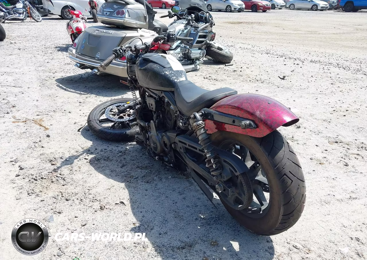 2022 Harley-Davidson Rh975 VIN:1HD1ZH11XNB324678 - 3