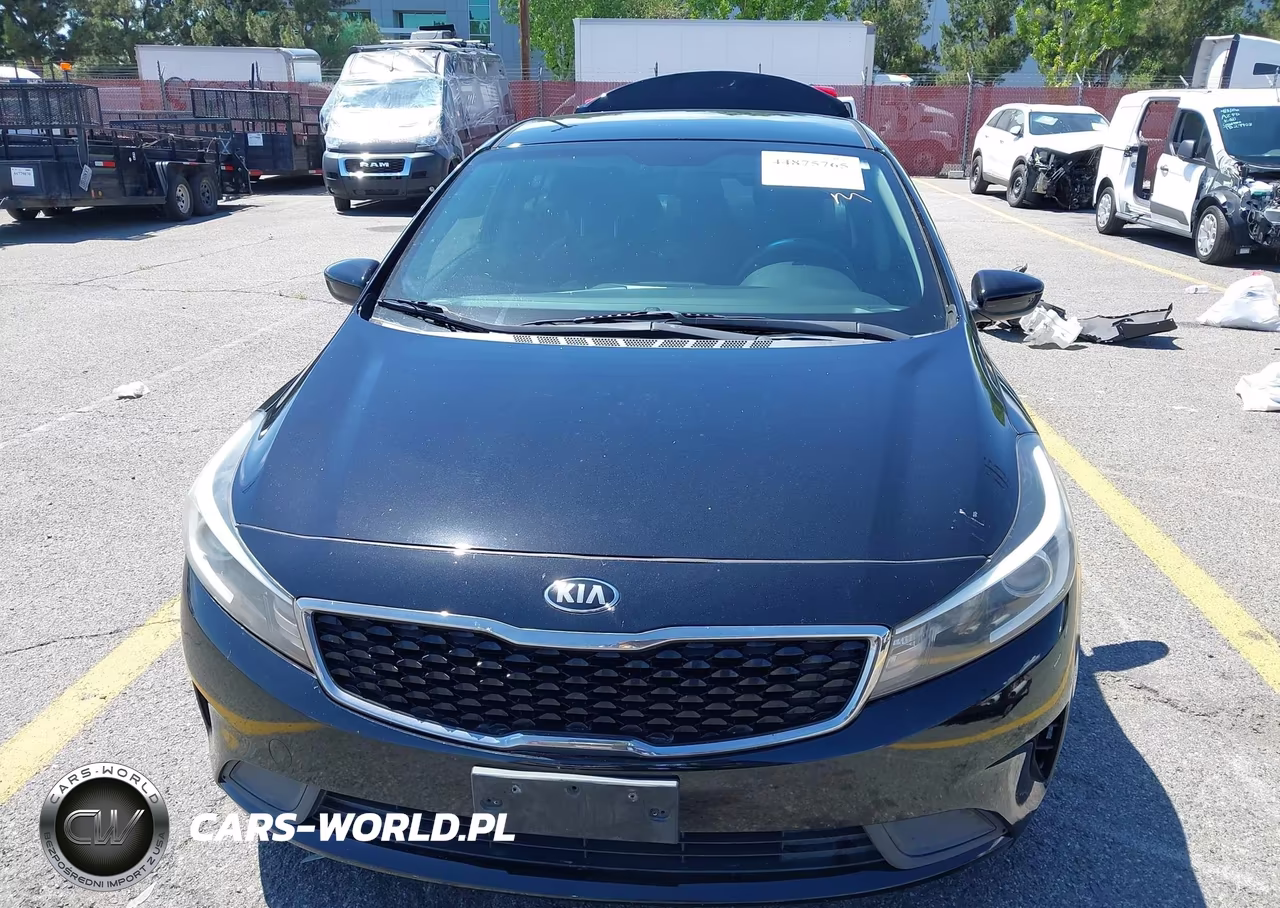 2017 Kia Forte Lx VIN:3KPFK4A7XHE043853 - 13