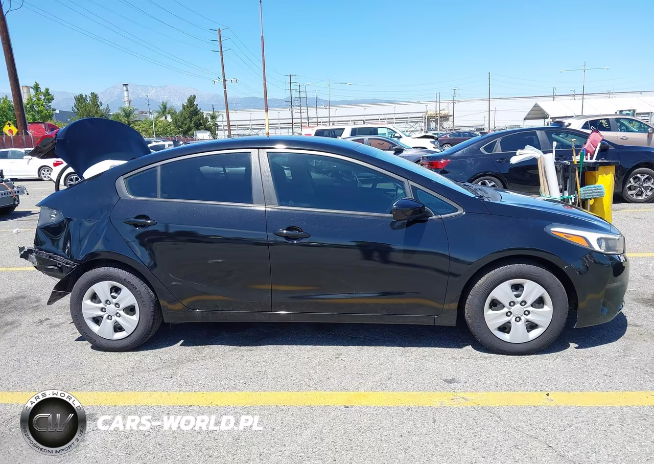 2017 Kia Forte Lx VIN:3KPFK4A7XHE043853 - 14