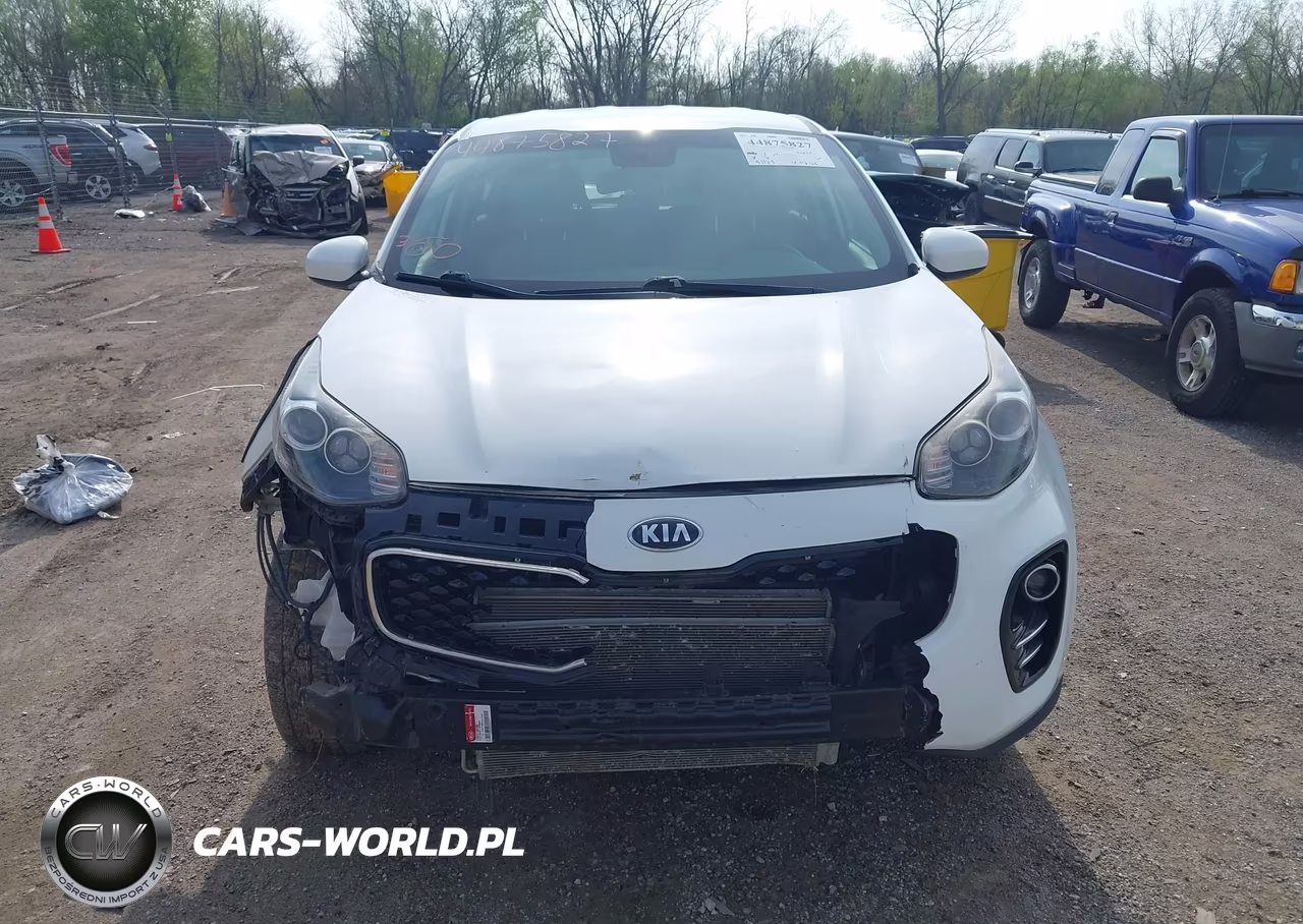 2017 Kia Sportage Lx VIN:KNDPMCAC4H7207779 - 13