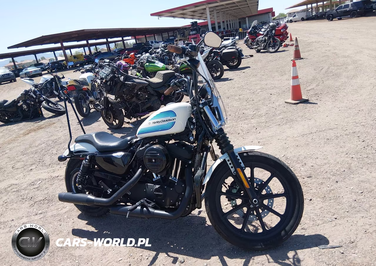2019 Harley-Davidson Xl1200 Ns