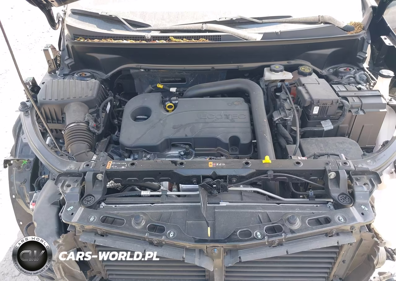 2024 Chevrolet Equinox Fwd Ls VIN:3GNAXHEGXRL192569 - 10